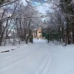 Queens царица شومن