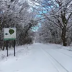 Queens царица