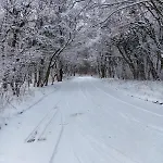 Queens царица شومن
