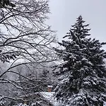 Queens царица شومن